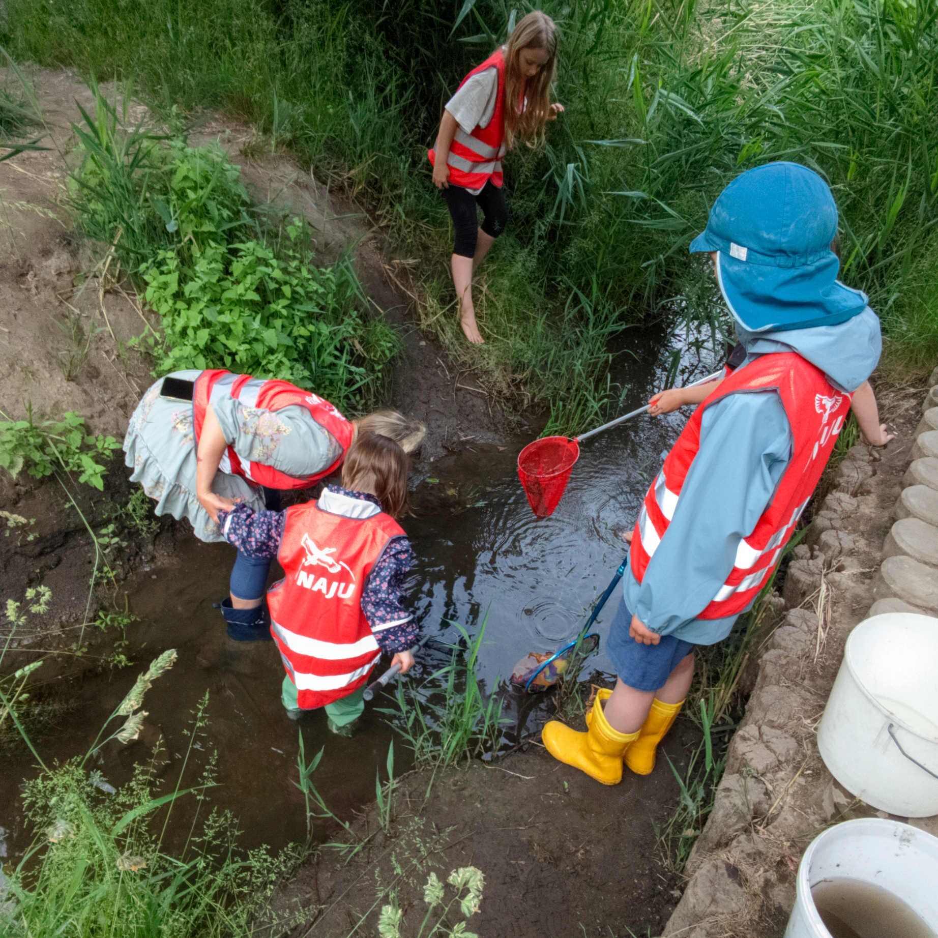 Keschern in der Großen Sülze - Foto: NAJU/Grit Liebelt