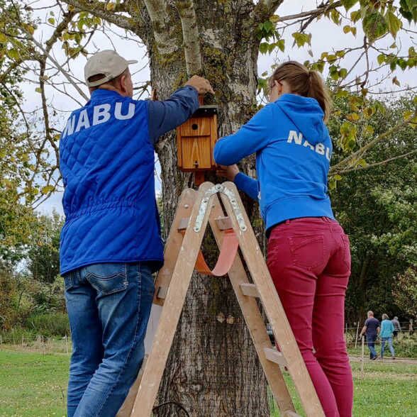 Nistkästen anbringen