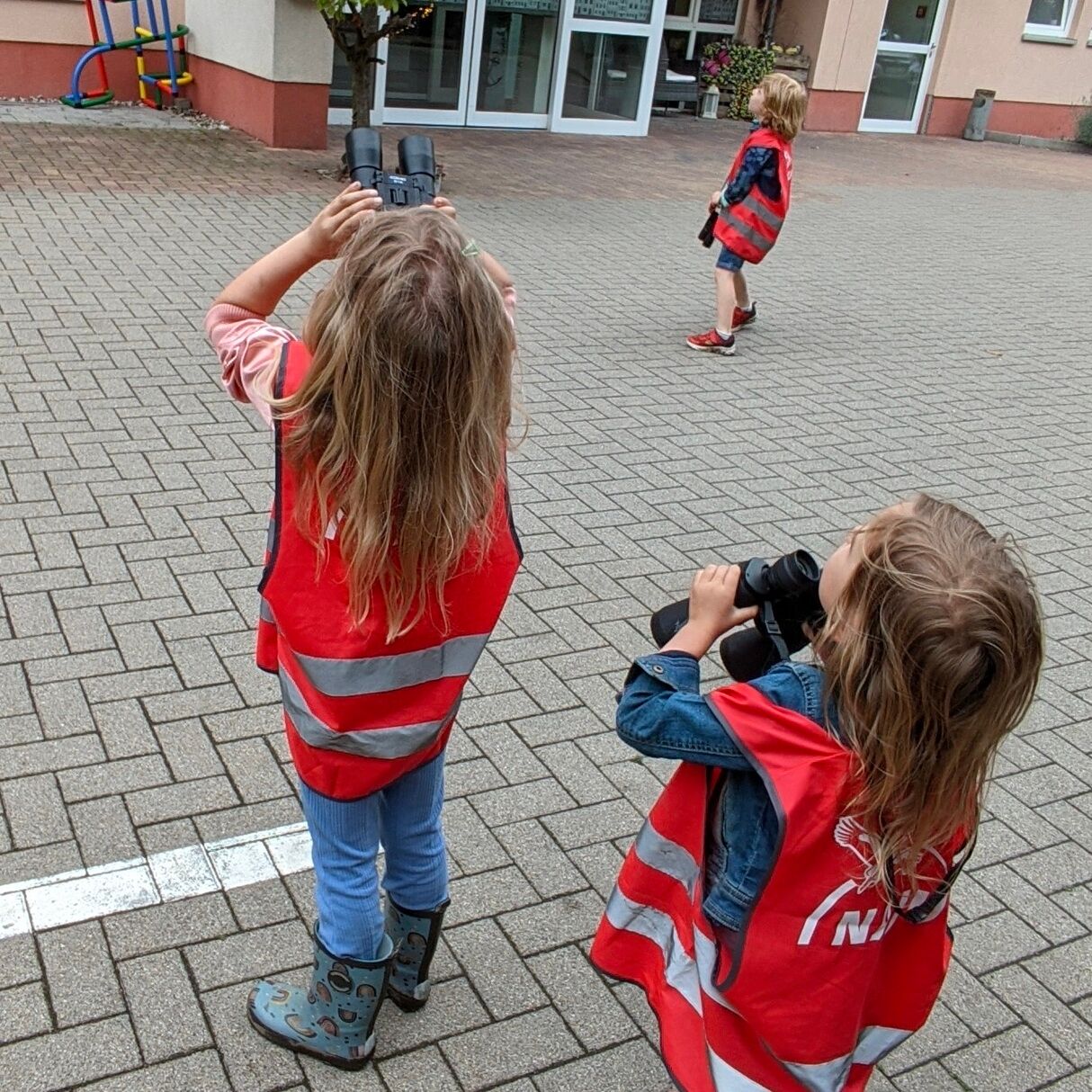 Schwalben beobachten - Foto: NAJU/Grit Liebelt