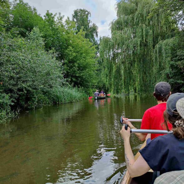 Paddeltour auf der Ohre