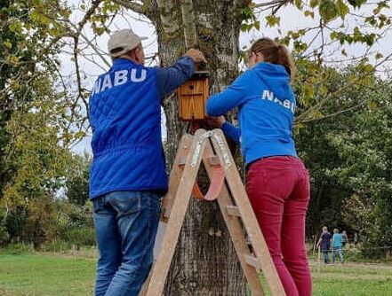Nistkästen anbringen