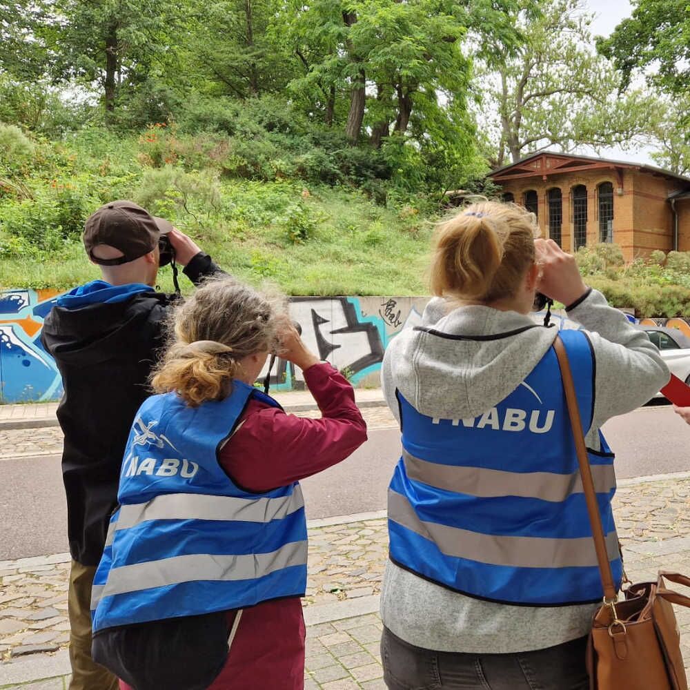 Zahlreiche Freiwillige engagieren sich am Kartiertag für den Artenschutz - Foto: NABU/Nick Wolf
